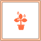 水やり